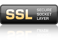 A Brief Overview of SSL